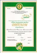 Диплом Регионального конкурса творческих педагогических проектов "Так зажигают звёзды" Диплом Регионального конкурса творческих педагогических проектов "Так зажигают звёзды"
